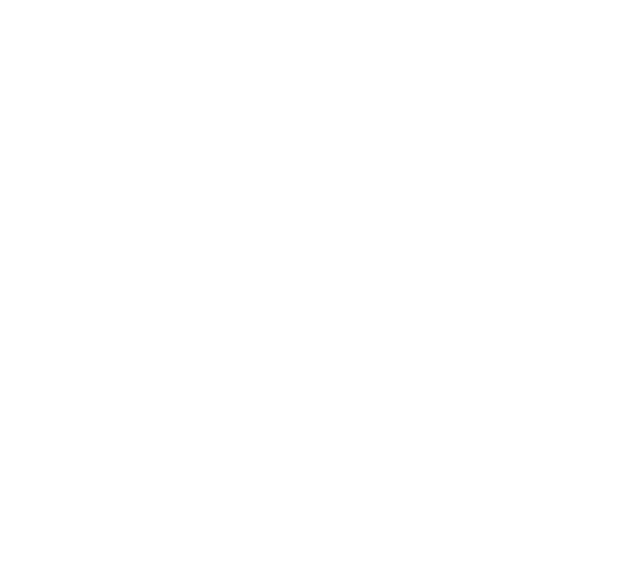 Erik Wills, scooter and motorcycle repairman